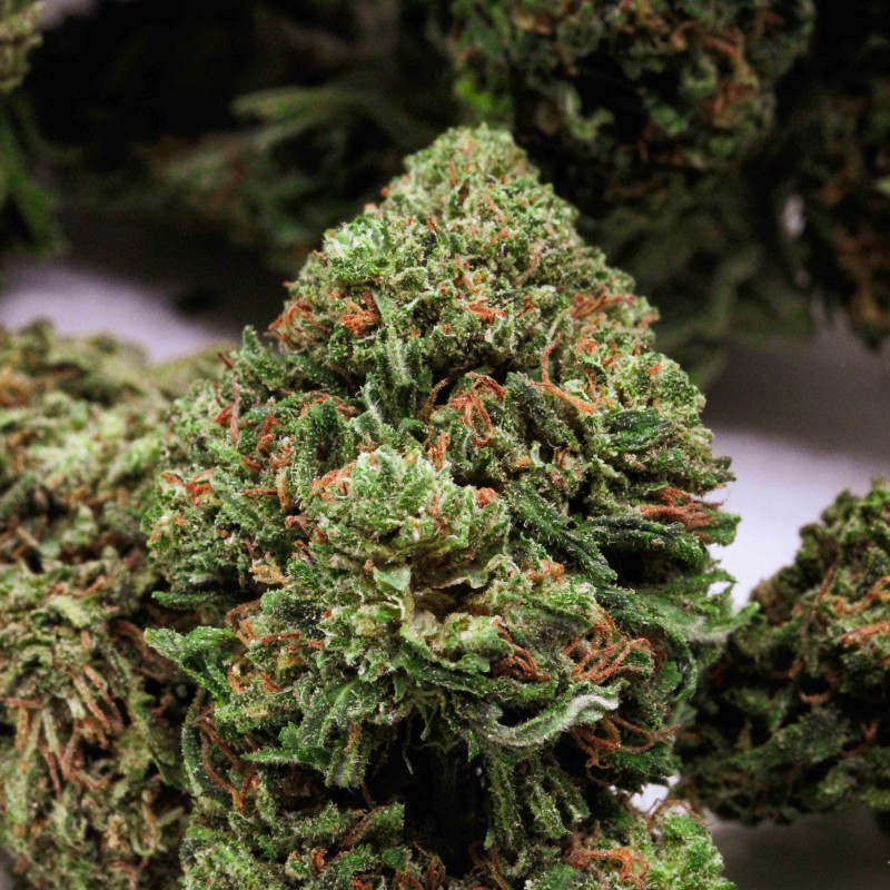 Lemon dream