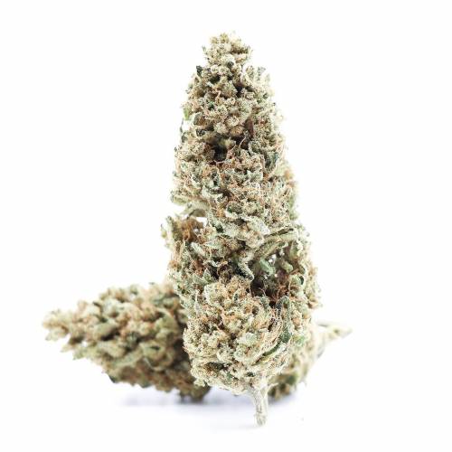 CBD420 - Fleurs CBD Indoor